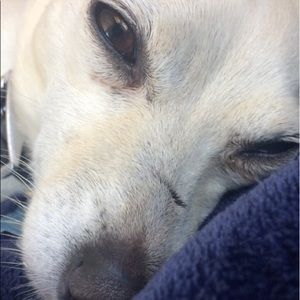 Meet your Posher, Cole